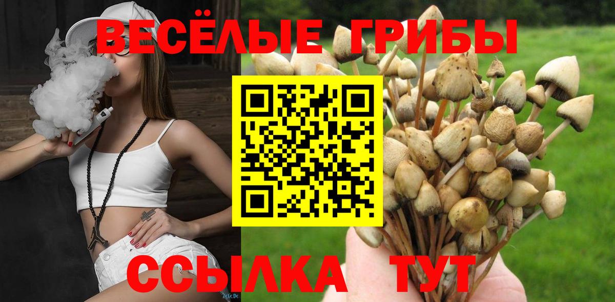 Галлюциногенные грибы прущие грибы Владивосток