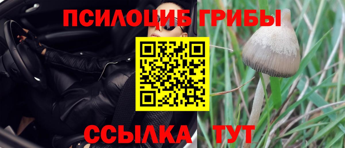 Владивосток  Галлюциногенные грибы Magic Shrooms  Вход с VPN 